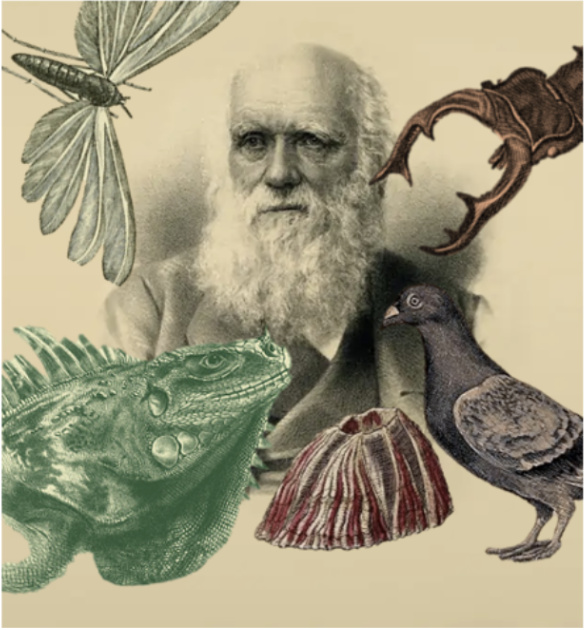 Composite image of Darwin and animals