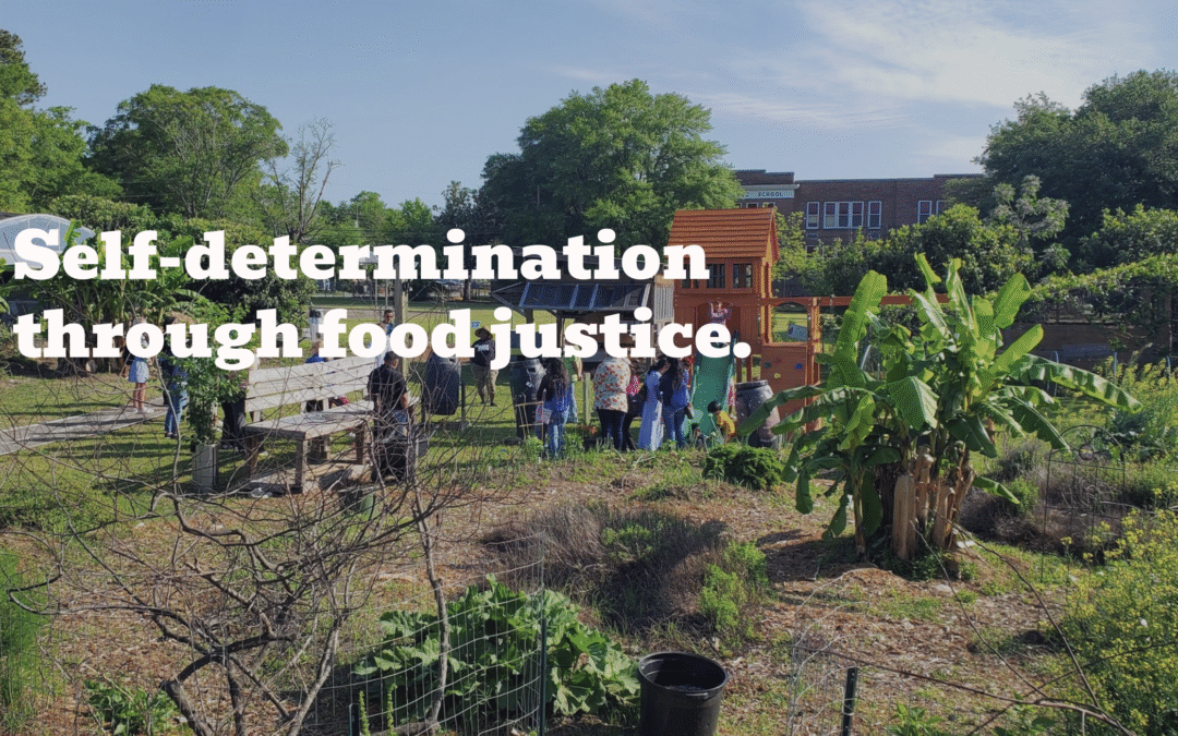 Fresh Future Farms website image