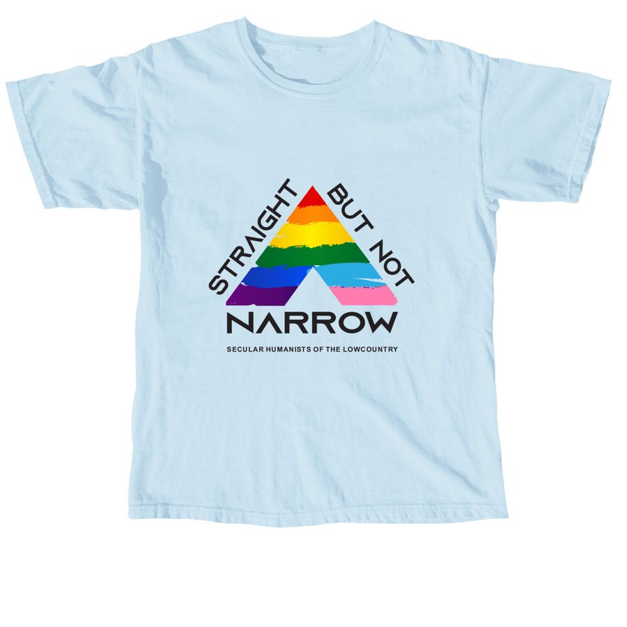 Straight But Not Narrow—Chambray